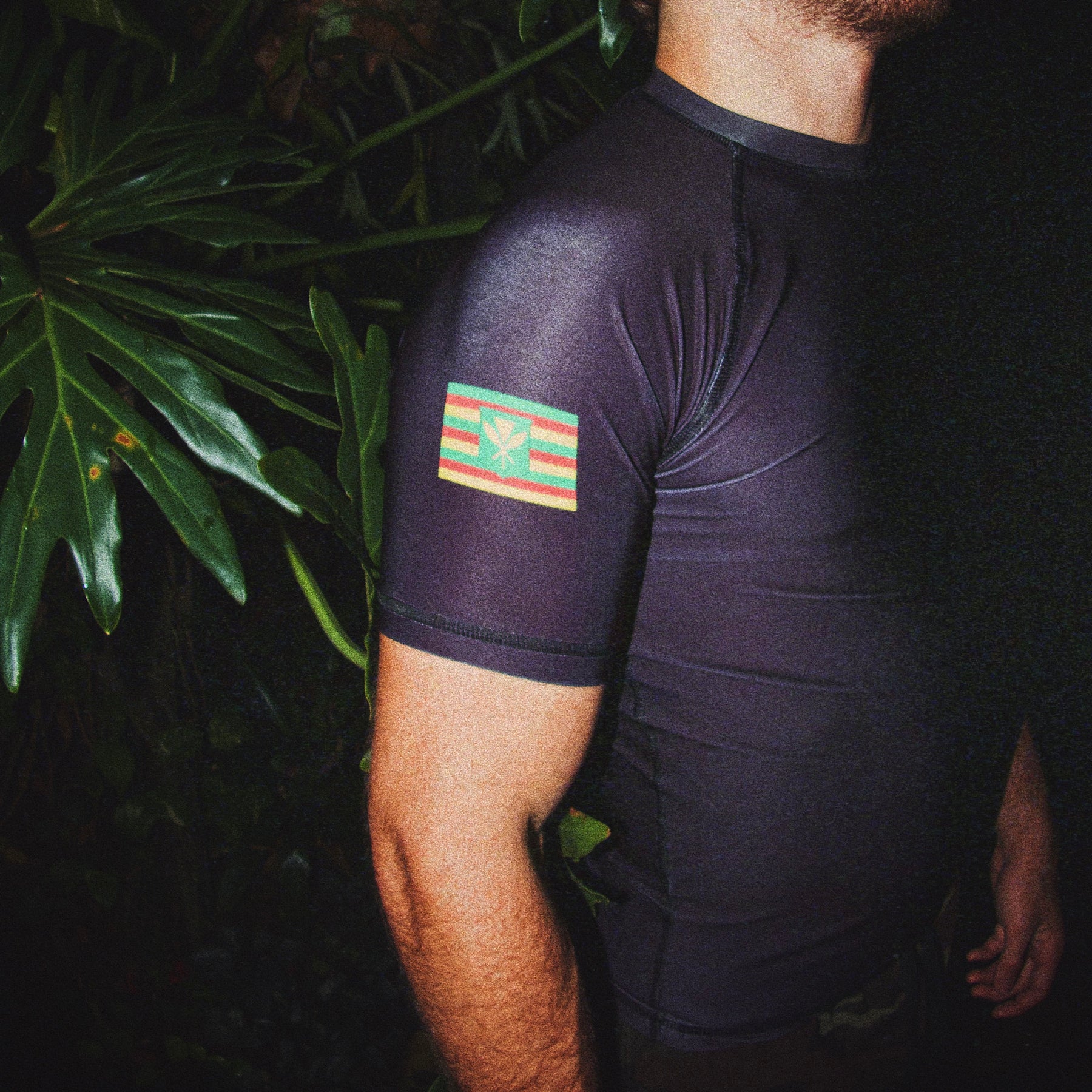 Hawaii 808