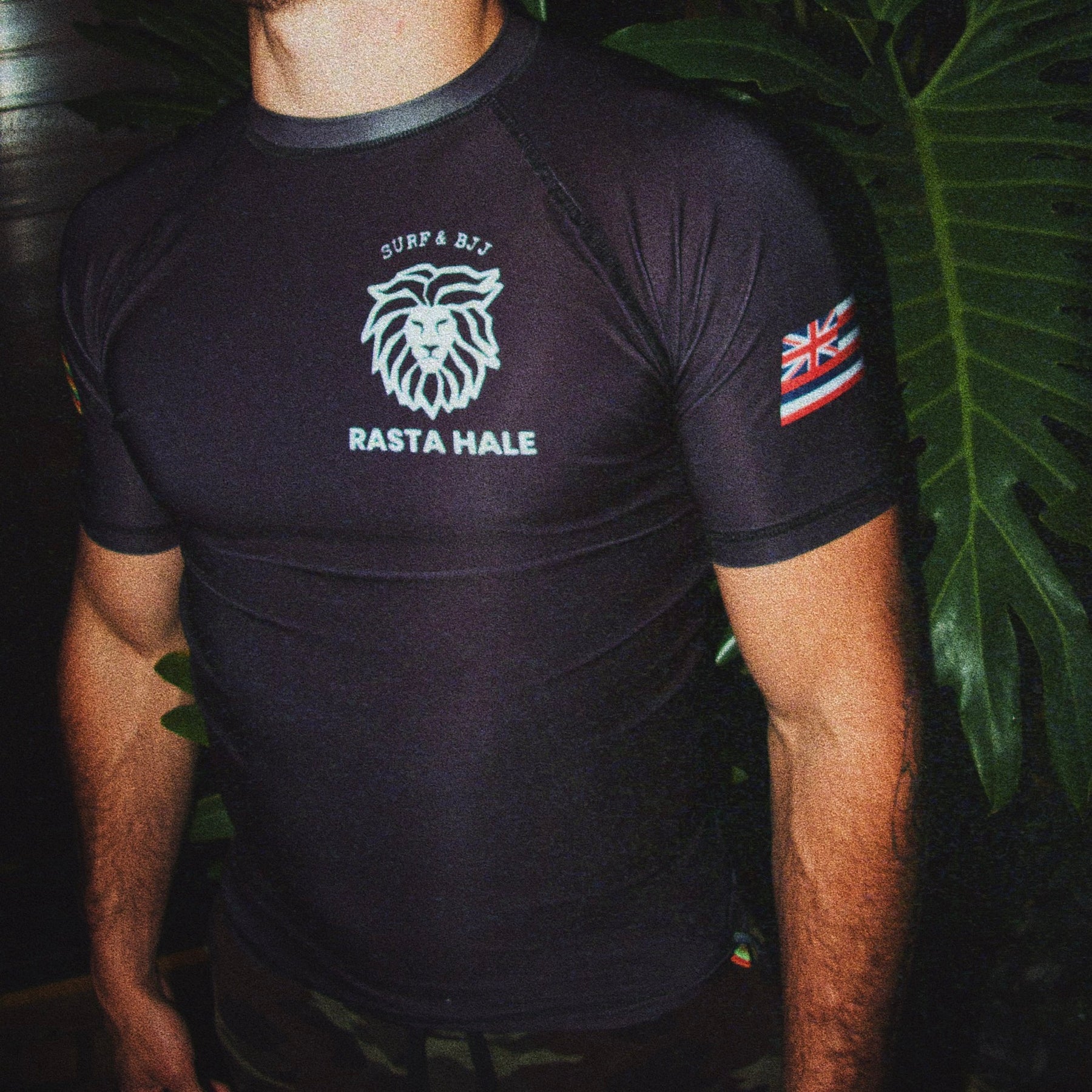 Hawaii 808