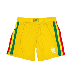 Solar - Flexxa Air®