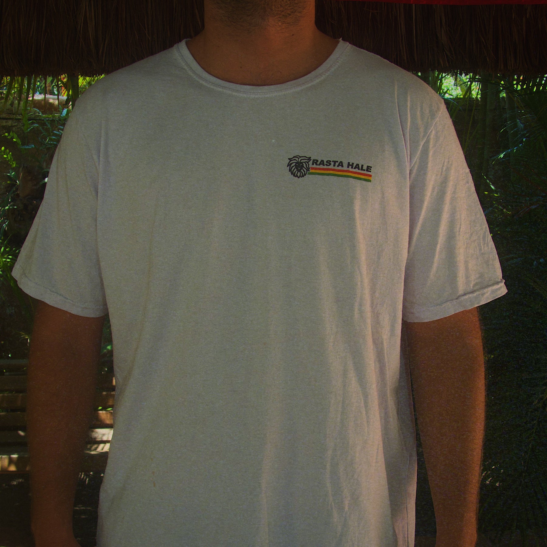 RASTA RASH DRAFT